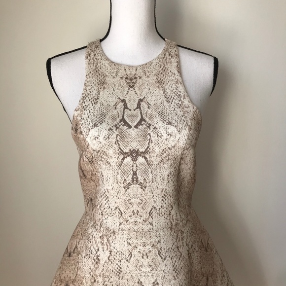 UO Silence & Noise Roxy Scuba Dress - Picture 6 of 8